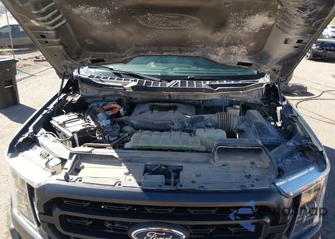 2021 Ford F-150 Xlt из США, поврежденный, VIN 1FTFW1ED0MFB77533